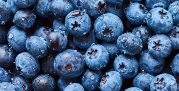 Blueberry